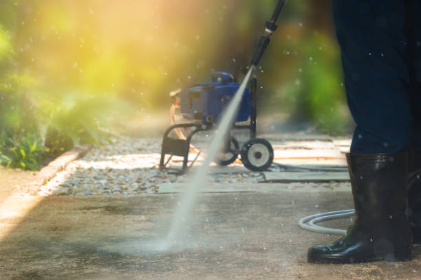Best Building Exterior Washing  in Ridgely, MD